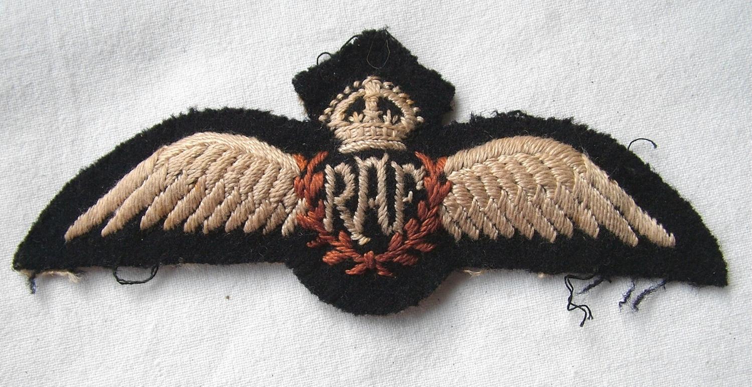RAF Pilot Wing
