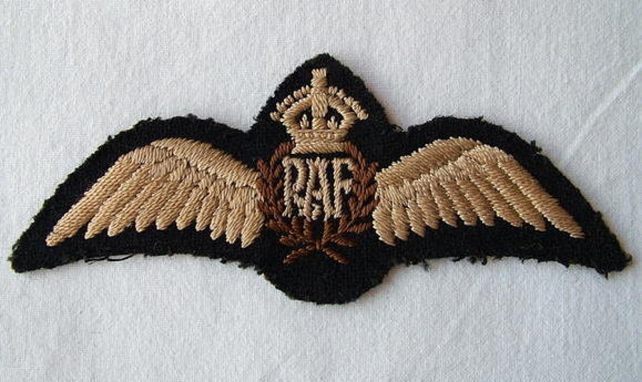 R.A.F. Pilot Wing