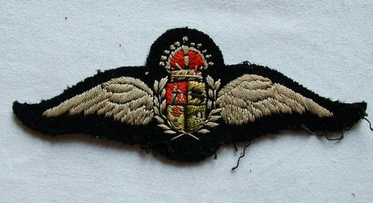 South African Air Force Pilot Wing