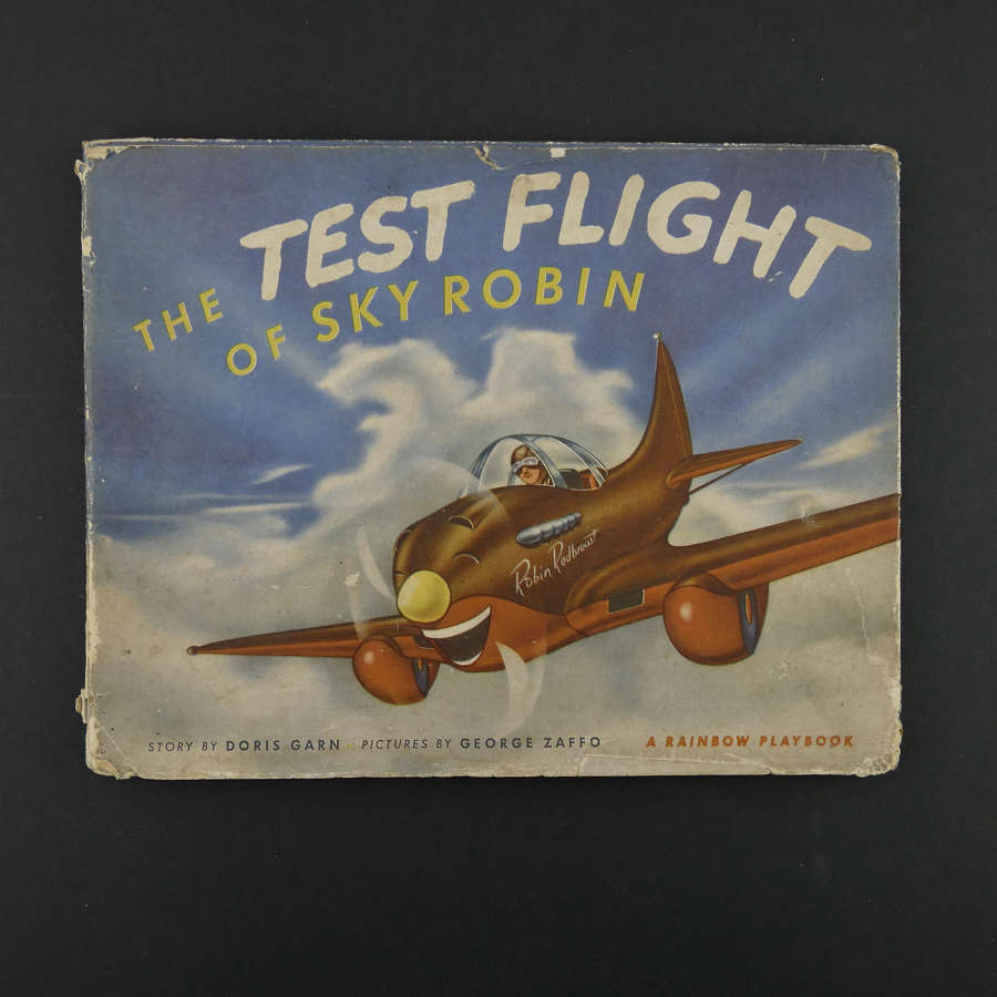 The Test Flight Of Sky Robin