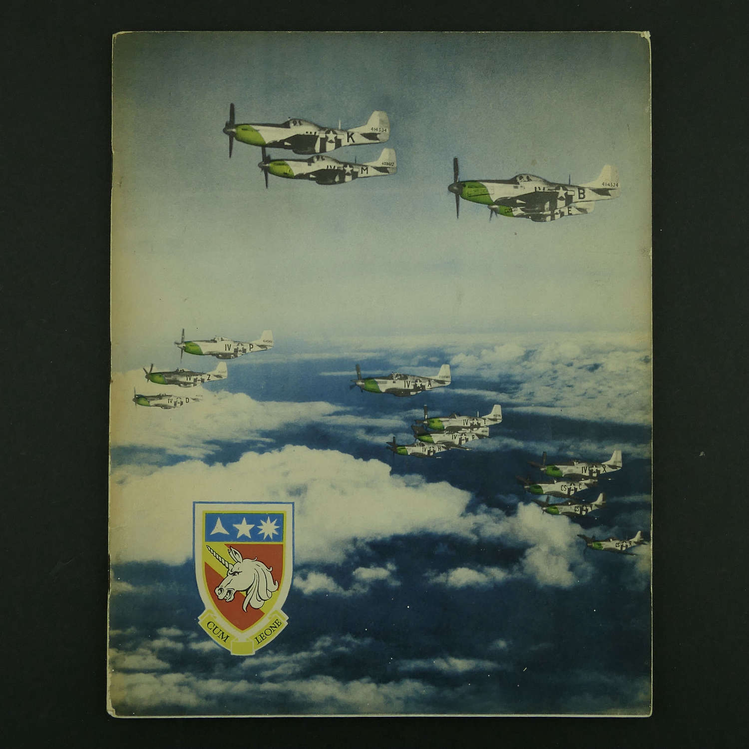 USAAF 359th Fighter Group unit History