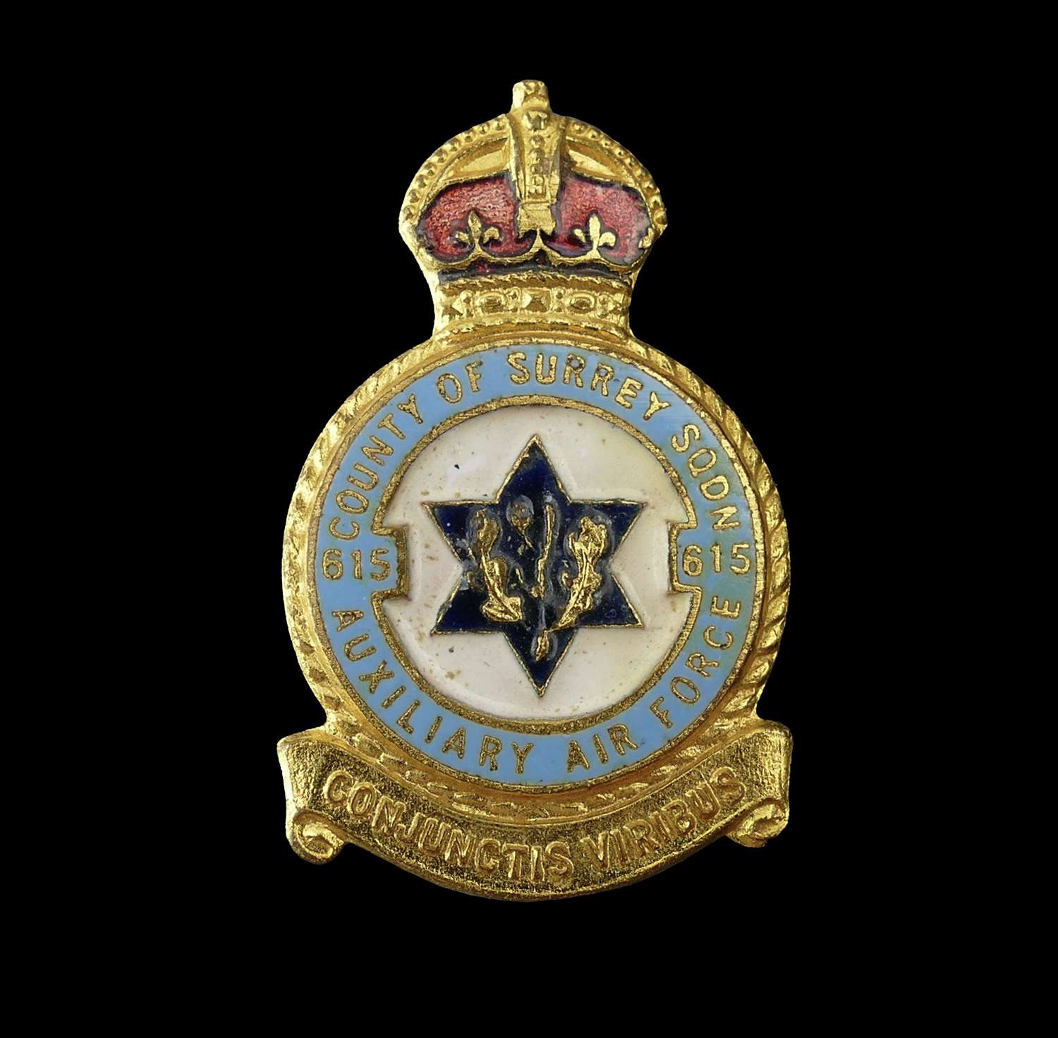 Lapel badge - ex Air Marshall Sir Freddie Sowrey